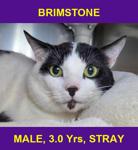 BRIMSTONE