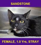 SANDSTONE