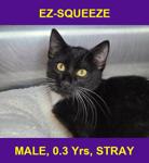 EZ-SQUEEZE