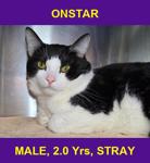 ONSTAR