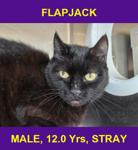 FLAPJACK