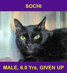 SOCHI