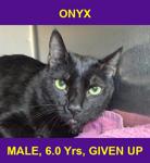 ONYX