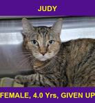 JUDY