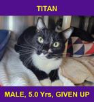 TITAN