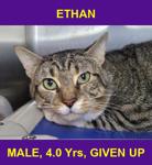 ETHAN