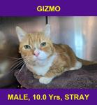 GIZMO