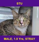 STU
