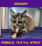 GRANNY