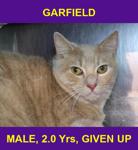 GARFIELD