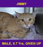 JIMMY