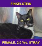 FINKELSTEIN