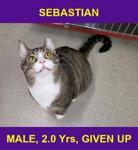 SEBASTIAN