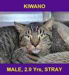 KIWANO