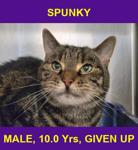 SPUNKY